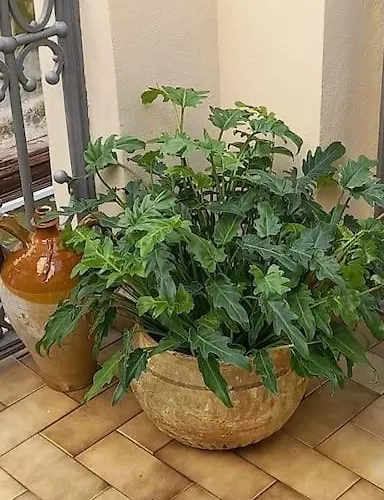 Oro Blu Сasa de vacaciones