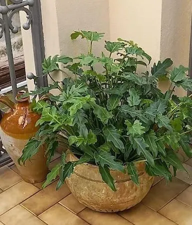 Oro Blu Дом отдыха